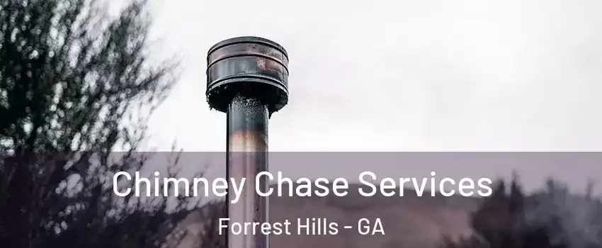 Chimney Chase Services Forrest Hills - GA