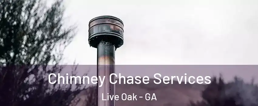 Chimney Chase Services Live Oak - GA