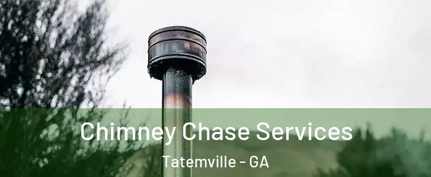 Chimney Chase Services Tatemville - GA