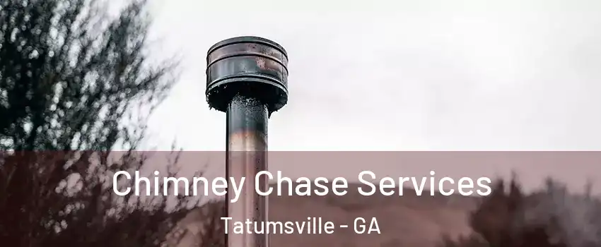 Chimney Chase Services Tatumsville - GA