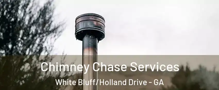 Chimney Chase Services White Bluff/Holland Drive - GA
