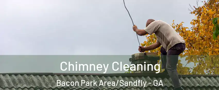 Chimney Cleaning Bacon Park Area/Sandfly - GA