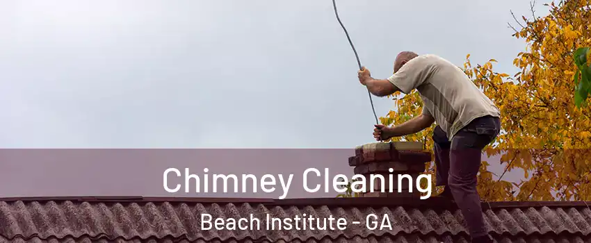 Chimney Cleaning Beach Institute - GA