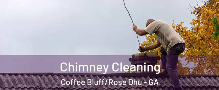 Chimney Cleaning Coffee Bluff/Rose Dhu - GA