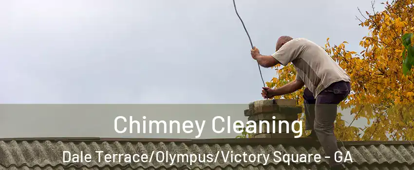 Chimney Cleaning Dale Terrace/Olympus/Victory Square - GA