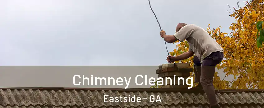 Chimney Cleaning Eastside - GA