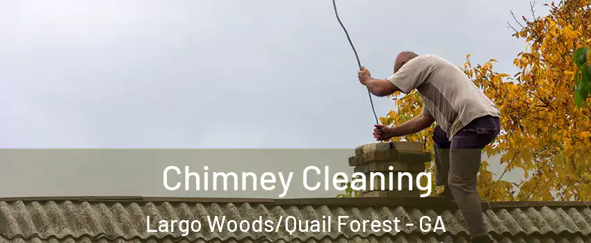 Chimney Cleaning Largo Woods/Quail Forest - GA