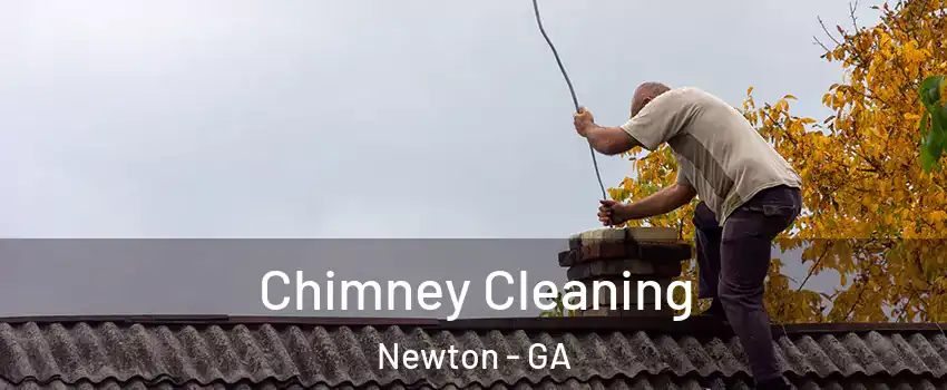 Chimney Cleaning Newton - GA