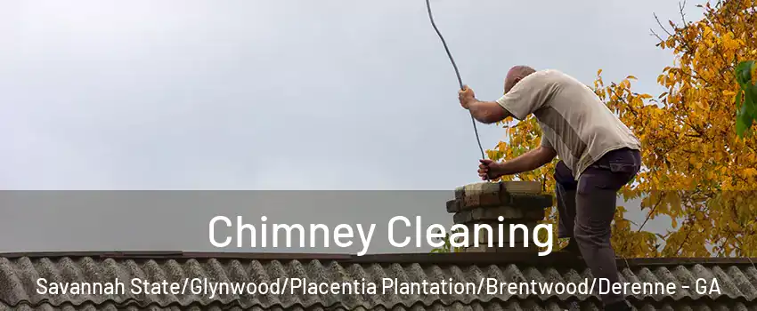 Chimney Cleaning Savannah State/Glynwood/Placentia Plantation/Brentwood/Derenne - GA