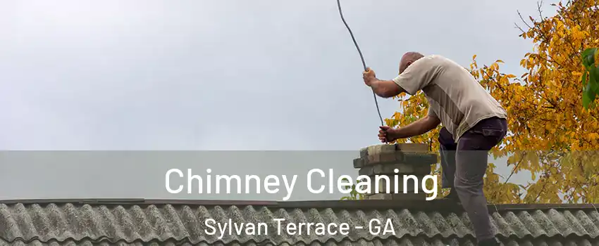 Chimney Cleaning Sylvan Terrace - GA