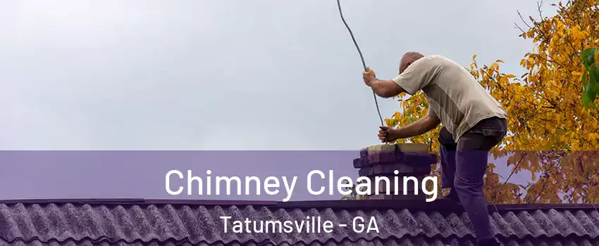 Chimney Cleaning Tatumsville - GA