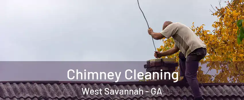Chimney Cleaning West Savannah - GA