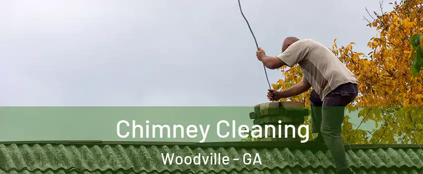 Chimney Cleaning Woodville - GA
