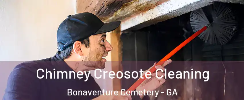 Chimney Creosote Cleaning Bonaventure Cemetery - GA