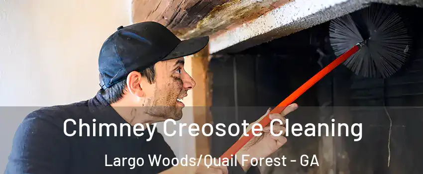 Chimney Creosote Cleaning Largo Woods/Quail Forest - GA