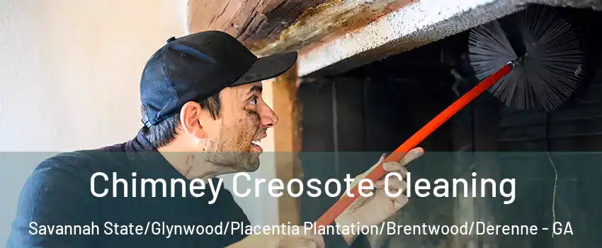 Chimney Creosote Cleaning Savannah State/Glynwood/Placentia Plantation/Brentwood/Derenne - GA
