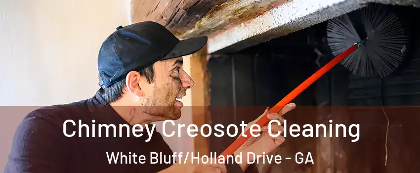Chimney Creosote Cleaning White Bluff/Holland Drive - GA