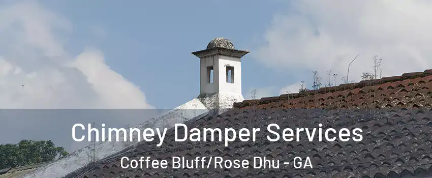 Chimney Damper Services Coffee Bluff/Rose Dhu - GA