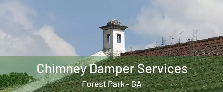 Chimney Damper Services Forest Park - GA
