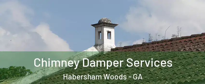 Chimney Damper Services Habersham Woods - GA