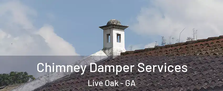 Chimney Damper Services Live Oak - GA
