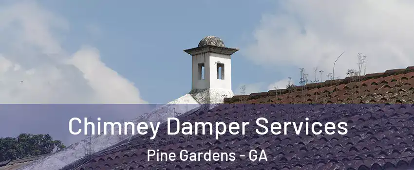 Chimney Damper Services Pine Gardens - GA