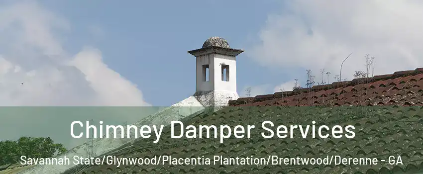 Chimney Damper Services Savannah State/Glynwood/Placentia Plantation/Brentwood/Derenne - GA