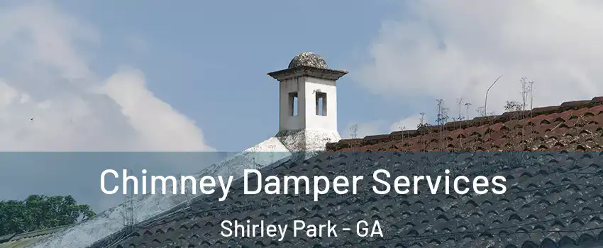 Chimney Damper Services Shirley Park - GA