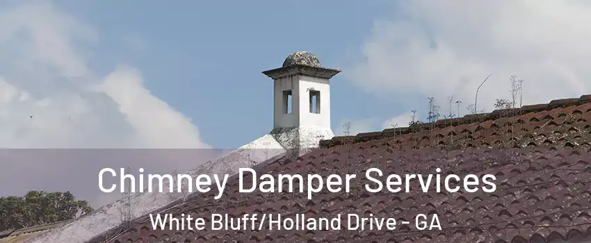 Chimney Damper Services White Bluff/Holland Drive - GA