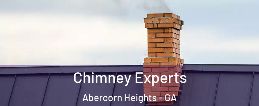 Chimney Experts Abercorn Heights - GA