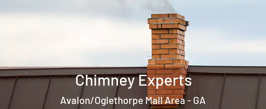 Chimney Experts Avalon/Oglethorpe Mall Area - GA