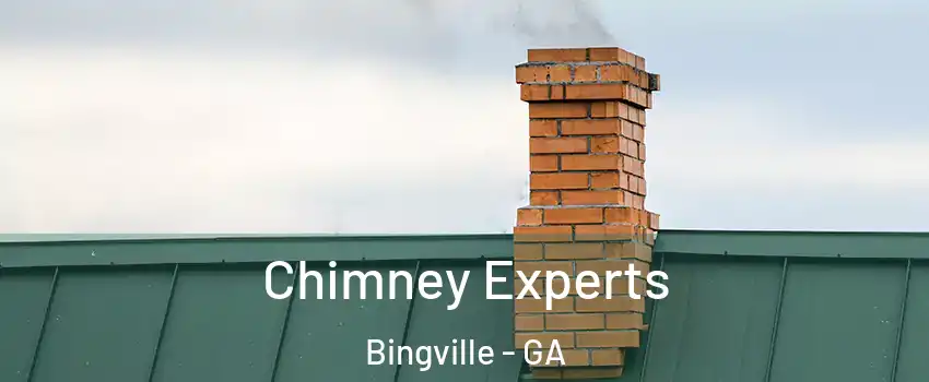 Chimney Experts Bingville - GA