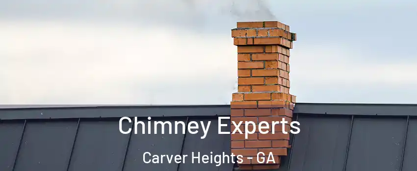 Chimney Experts Carver Heights - GA