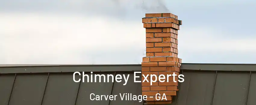 Chimney Experts Carver Village - GA
