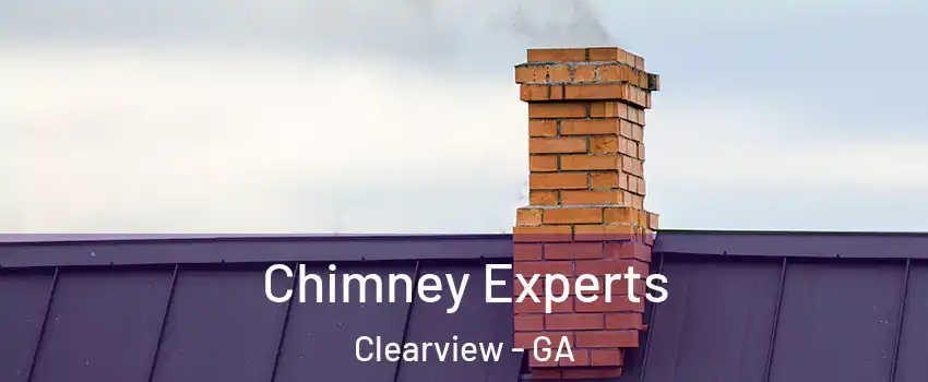 Chimney Experts Clearview - GA