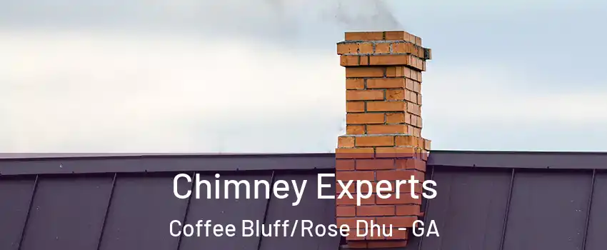 Chimney Experts Coffee Bluff/Rose Dhu - GA
