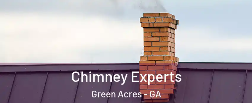 Chimney Experts Green Acres - GA