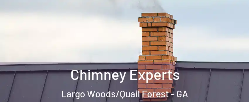 Chimney Experts Largo Woods/Quail Forest - GA