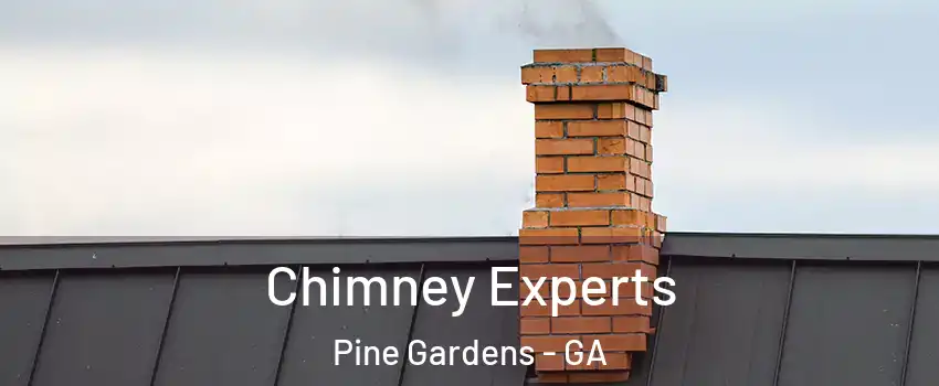 Chimney Experts Pine Gardens - GA