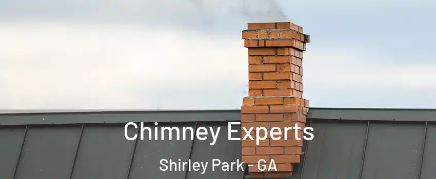 Chimney Experts Shirley Park - GA