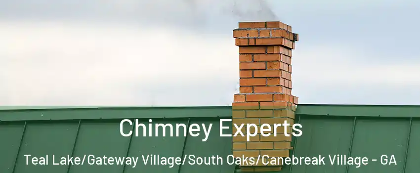 Chimney Experts Teal Lake/Gateway Village/South Oaks/Canebreak Village - GA