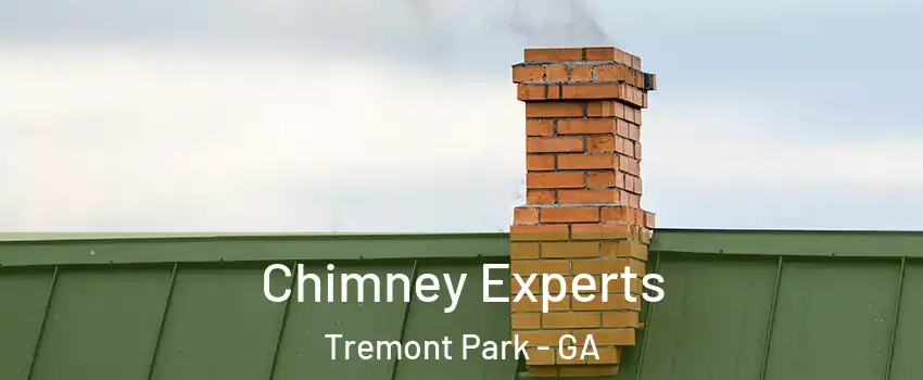 Chimney Experts Tremont Park - GA