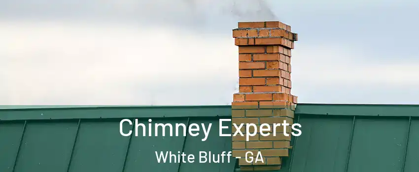 Chimney Experts White Bluff - GA