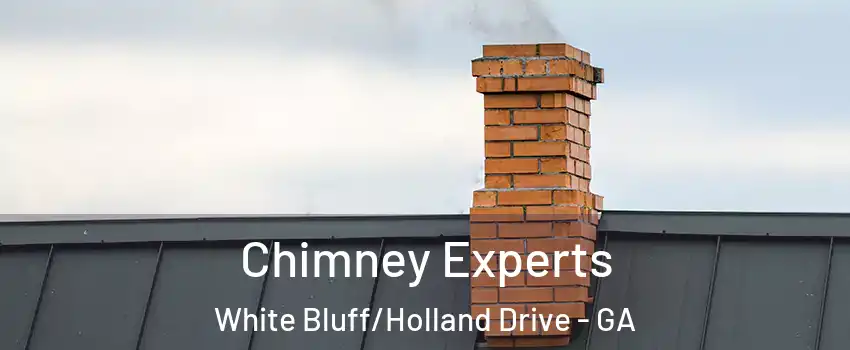 Chimney Experts White Bluff/Holland Drive - GA