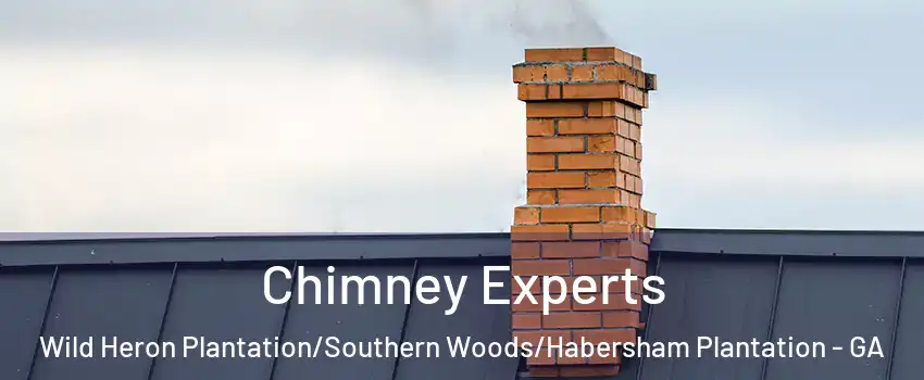 Chimney Experts Wild Heron Plantation/Southern Woods/Habersham Plantation - GA