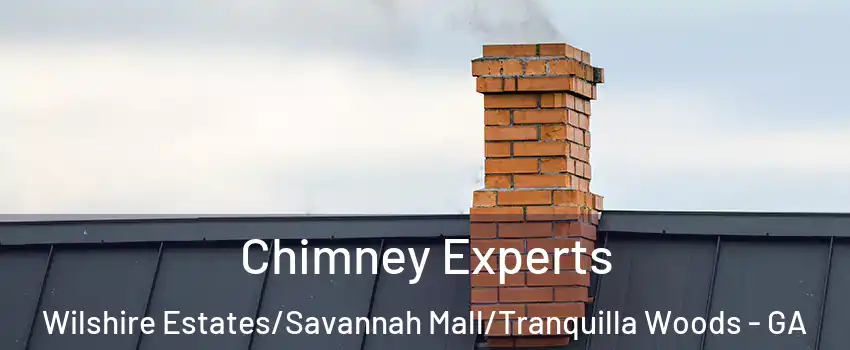 Chimney Experts Wilshire Estates/Savannah Mall/Tranquilla Woods - GA