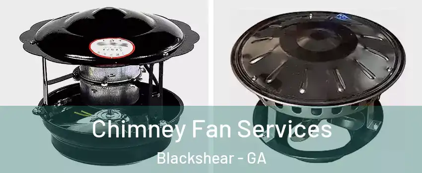 Chimney Fan Services Blackshear - GA
