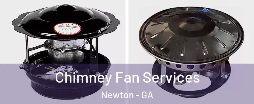 Chimney Fan Services Newton - GA
