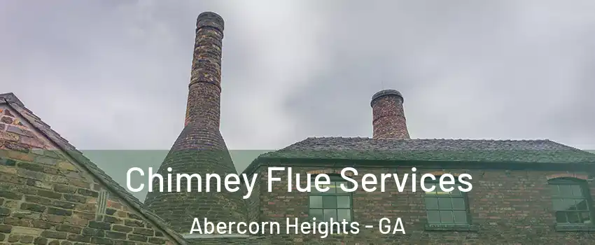 Chimney Flue Services Abercorn Heights - GA