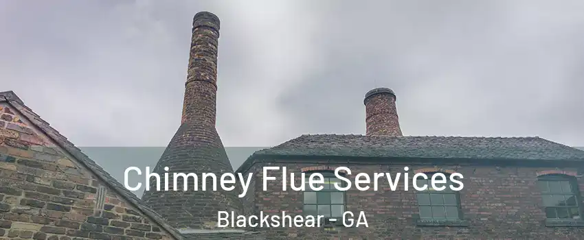 Chimney Flue Services Blackshear - GA